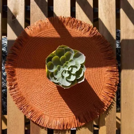 Profithome- Casa Checha Daire