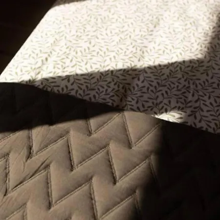 Profithome- Casa Checha Appartamento