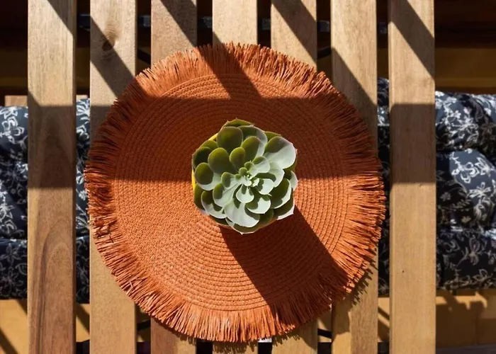 Profithome- Casa Checha Lägenhet